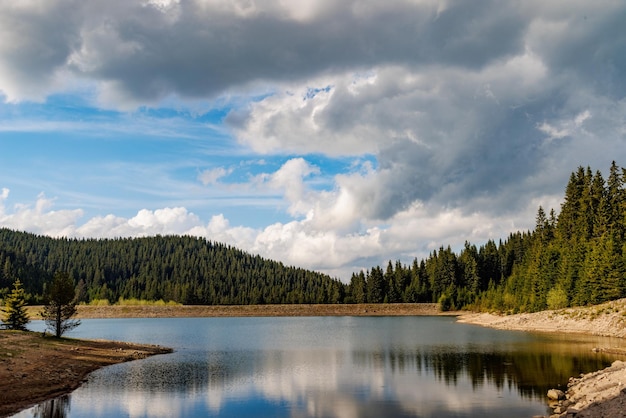 See mit klarem Wasser und Steinufer im Fichtenwald mit Tannen gegen einen Tageshimmel