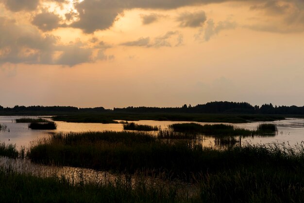 See mit Pflanzen bei Sonnenuntergang, Spiegelung im Seewasser in verschiedenen Farben vom Sonnenlicht bei Sonnenuntergang