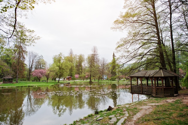 See mit Seerosen im Frühlingspark mit Laube