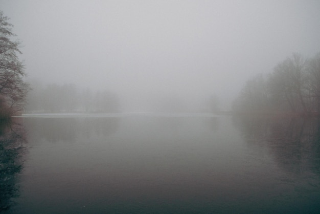 See mit Wald im Hintergrund großer Nebel