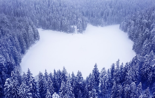 See Synevir im Winter. Der zugefrorene See ist mit Schnee bedeckt. Wunderbare Winterlandschaft. Drohnenansicht.