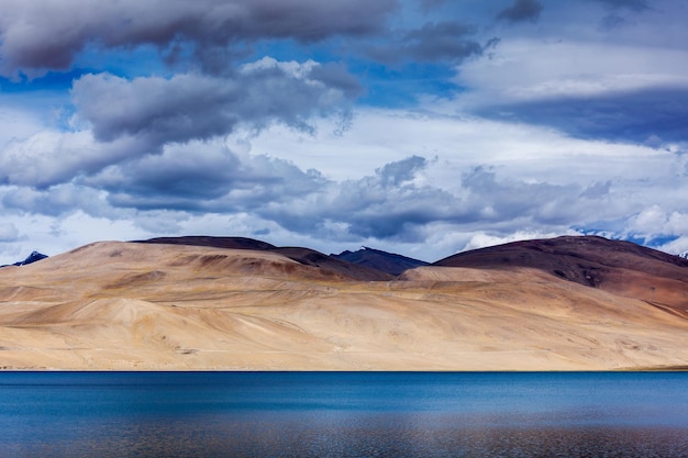 See Tsomori in Ladakh