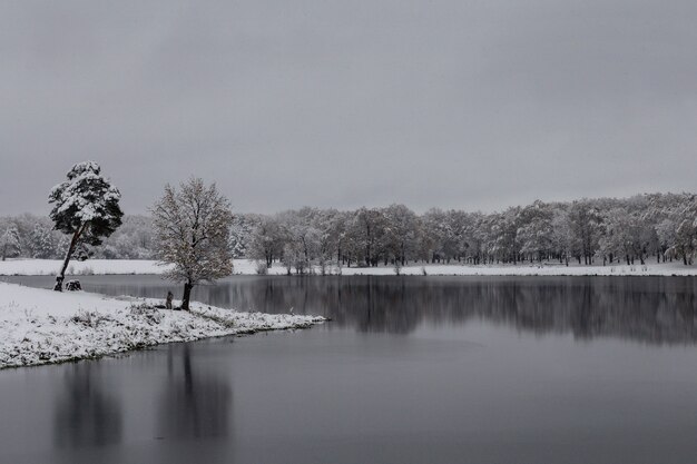 See und Bäume im Schnee