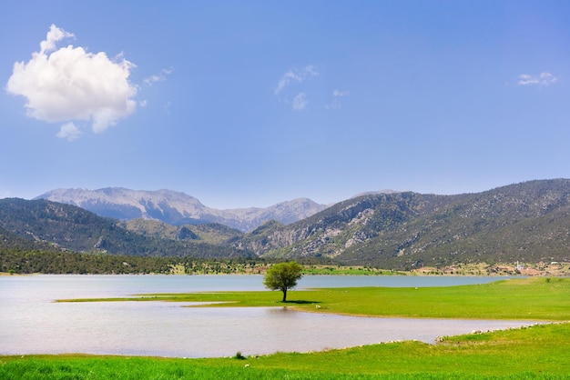 See- und Baumberge im Hintergrund Schöne Aussicht