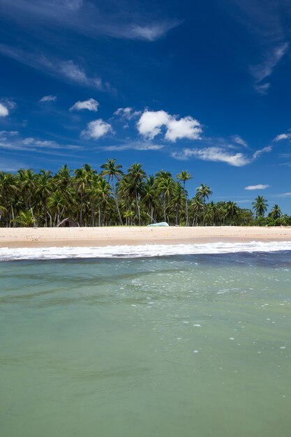 See- und Strandhintergrund mit Kopierraum