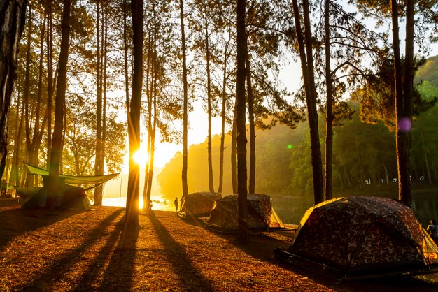 See und Wald bei Sonnenaufgang