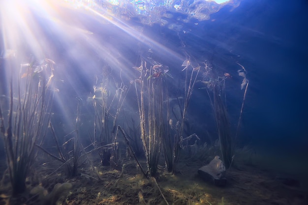 See Unterwasserlandschaft abstrakt / blaues transparentes Wasser, Öko-Naturschutz unter Wasser