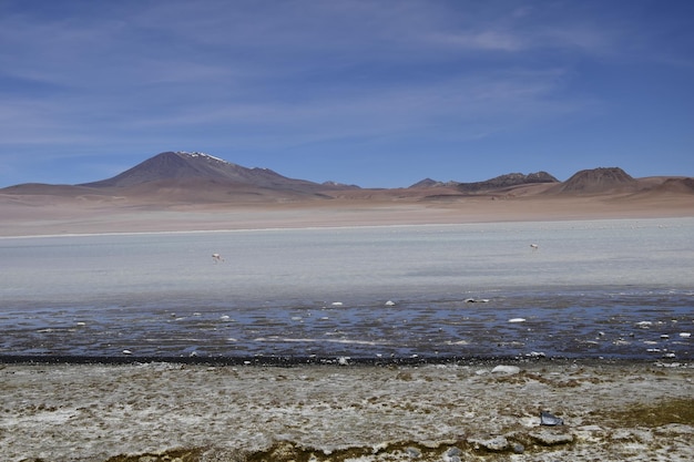 See zwischen den Bergen mit rosa Flamingo Offroad-Tour auf der Salzwüste Salar de Uyuni in Bolivien