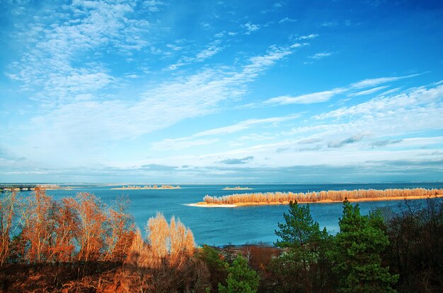 Seebäume blauer Himmel mit Wolken