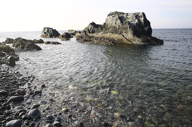 Seelandschaft Sommerblick, Natur des Nordens, Küstenökologie