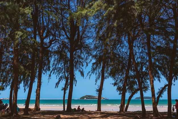 Foto seelandschaft und kiefernküste, während touristen nach und nach am strand zur ruhe kommen.