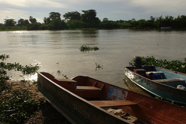 Seenlandschaft mit Mangroven und hölzernen Fischerbooten in der Abenddämmerung