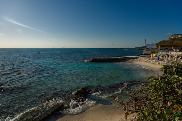 Seepier auf der Insel Mujeres