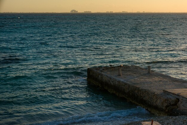 Seepier auf der Insel Mujeres