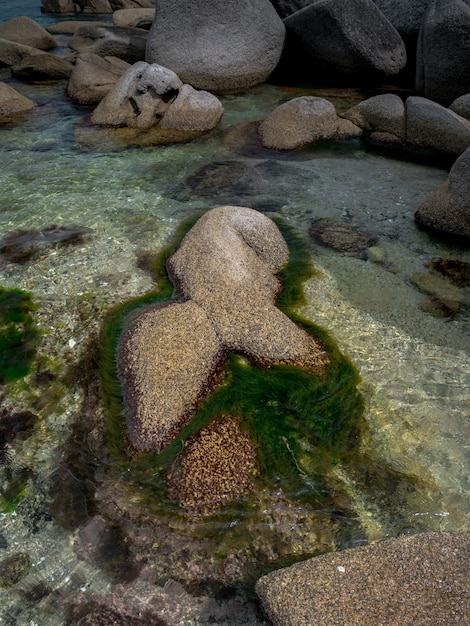 Seesandstrand mit großen Felsen, Klippen am Ufer und klarem Wasser