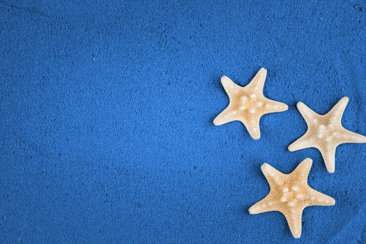 Seestern auf dem blauen Sand kopieren Raum. Farbiger Sand.
