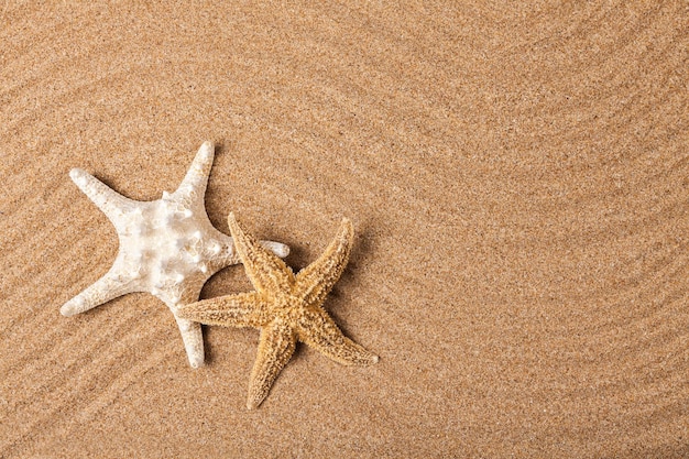 Seestern auf Strandsand. Nahaufnahme