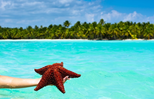 Seestern in der Hand im Meer