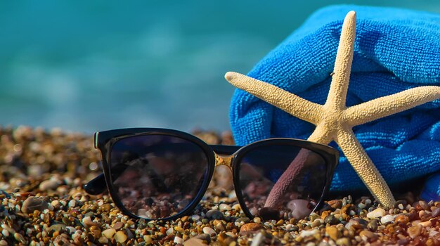 Seesterne am Strand. Selektiver Fokus.