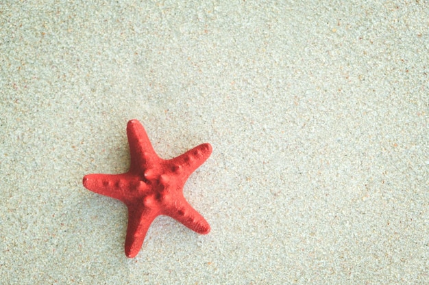 Seesterne am Strand