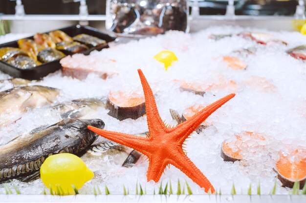 Seesterne. Lachssteaks und gefrorener Fisch mit Eis im Kühlschrank im Supermarkt.