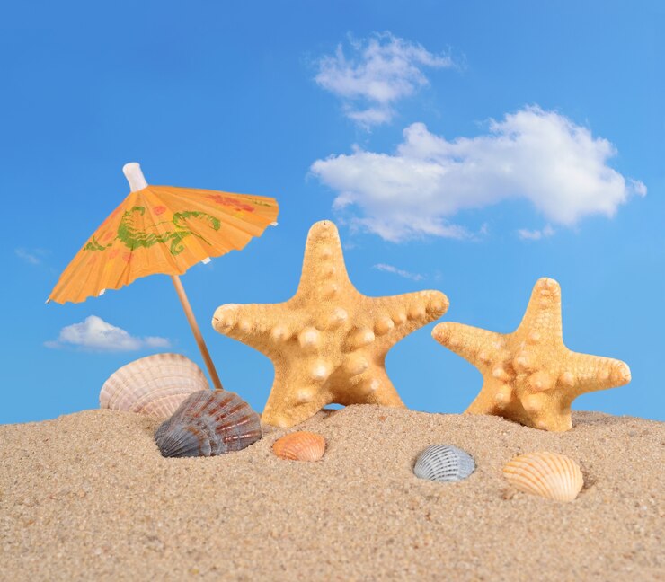 Seesterne und Muscheln auf einem Strandsand gegen den blauen Himmel
