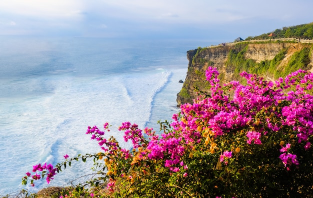 Seestück, Ozean bei Sonnenuntergang. Blumen auf Ozean nahe Uluwatu Tempel bei Sonnenuntergang, Bali, Indonesien. Bougainvillea blüht im Vordergrund.