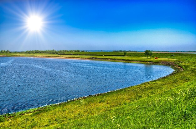 Seeufer mit grünem Gras an einem sonnigen Tag Holland Niederlande