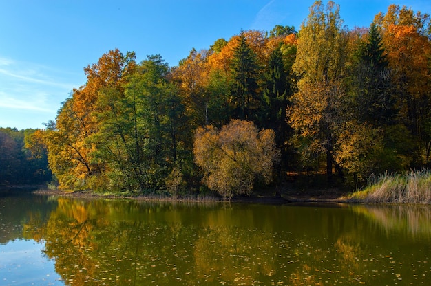 Seeufer mit Herbstlandschaft, die sich im Wasser widerspiegelt