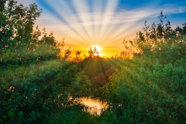 Seewassersonnenuntergang und -sonnenstrahlen auf Naturlandschaft mit Sonnenunterganghimmel