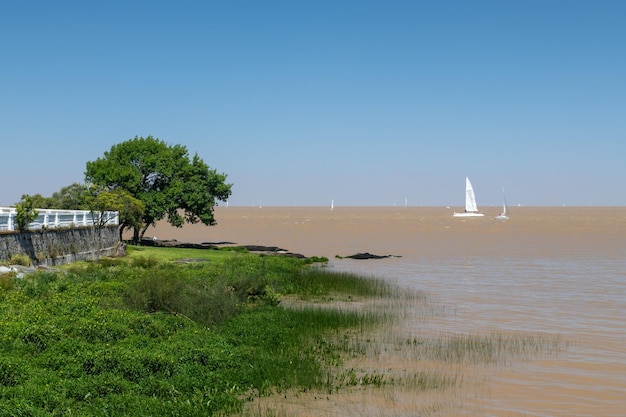 Segelboot im Fluss La Plata auf dem Weg zum Hafen von Colonia del Sacramento in Colonia Uruguay