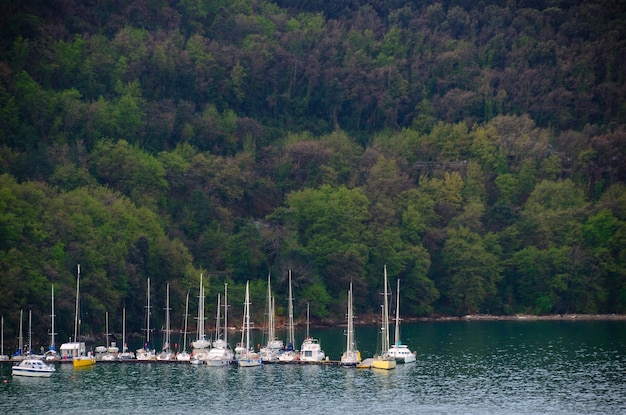 Segelboote in einer Bucht