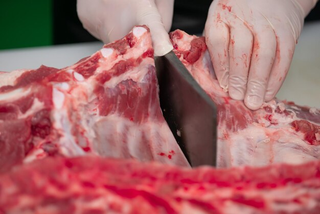 Segmentação de peças de carne de porco crua fresca