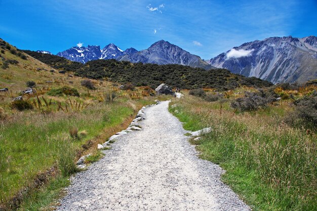 Seguimiento en el glaciar Tasman, Nueva Zelanda,