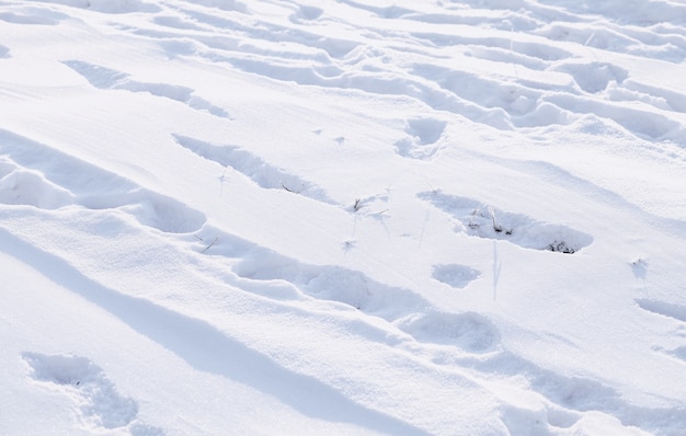 Seguimiento en la nieve