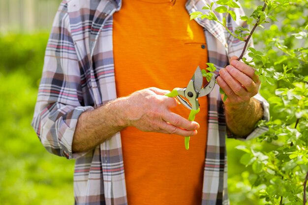 Segurando um alicate. Close-up de um homem de camiseta laranja e camisa quadrada segurando um alicate para cortar galhos