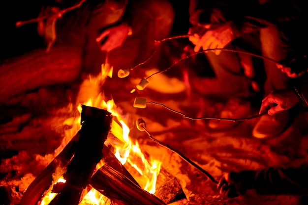 Segurando varas com marshmallows acima da fogueira