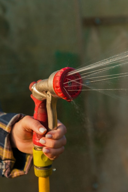 Sehen Sie die Frauenhände an, die Pflanzen vom Schlauch gießen, macht einen Regen im Garten. Gärtner mit Gießschlauch und Sprühwasser auf den Blumen.