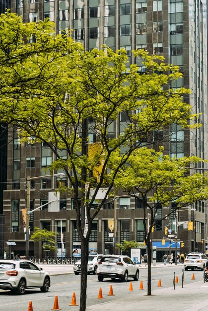 Sehen Sie sich tagsüber die Bay Street in der Innenstadt von Toronto an. Zentrum des Finanzlebens von Toronto.