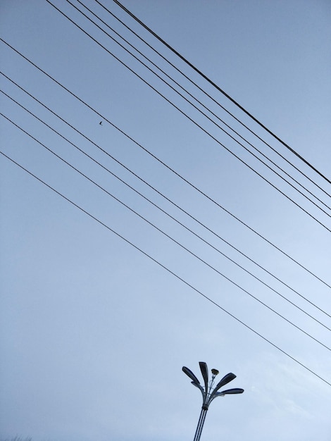 Foto sehenswürdigkeit von vögeln, die gegen einen klaren himmel fliegen