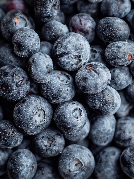 Sehr frische und reife Heidelbeeren