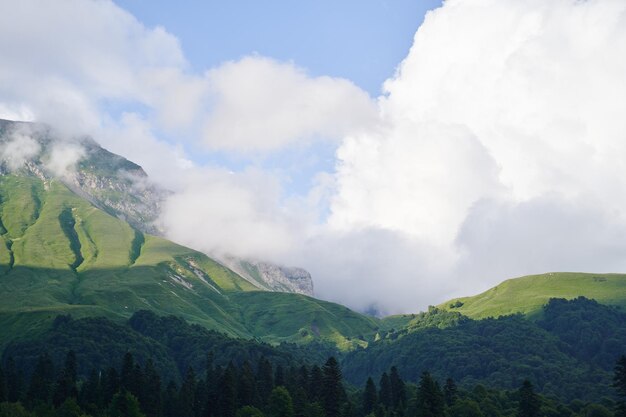 Foto sehr grüner pass mit vor sonnenuntergang mit wolken bedeckten wäldern