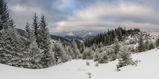 Sehr schöne Winterlandschaft mit verschneitem Wald