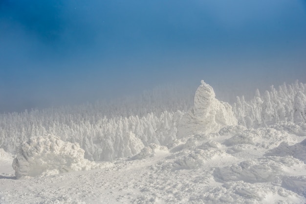 sehr schönes Schneemonster am zao Berg, Yamagata Japan