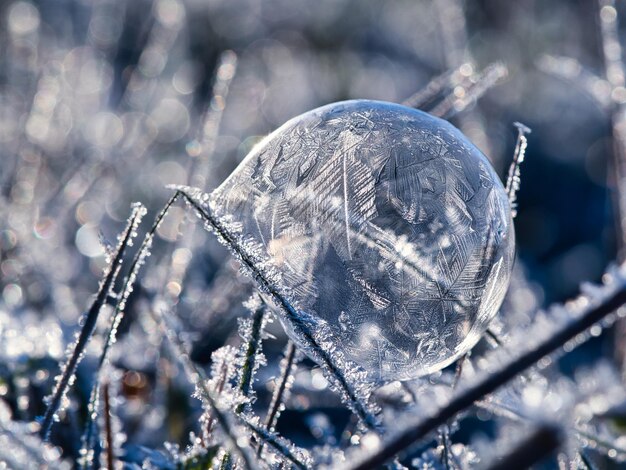 Seifenblase, auf der sich durch den Frost im Licht der untergehenden Sonne Eiskristalle gebildet haben