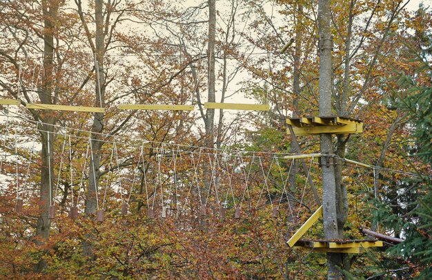 Seilbrücke im Abenteuerbaumpark für Baumklettern und Sport arborismo oder accrobranche Seile