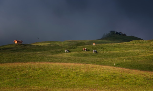 Foto seiser alm en una mañana dramática y sombría