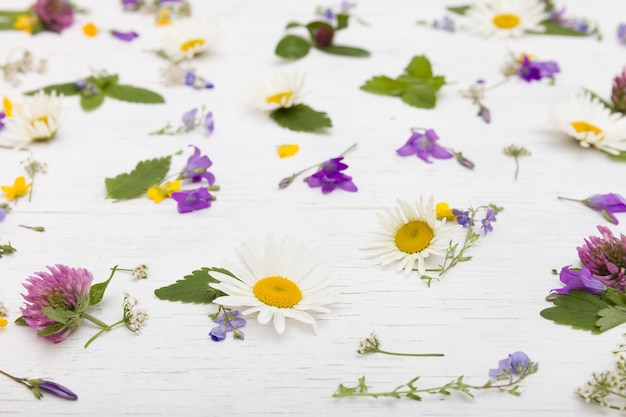 Seitenansicht auf schöne wilde Blumen auf dem weißen hölzernen Hintergrund