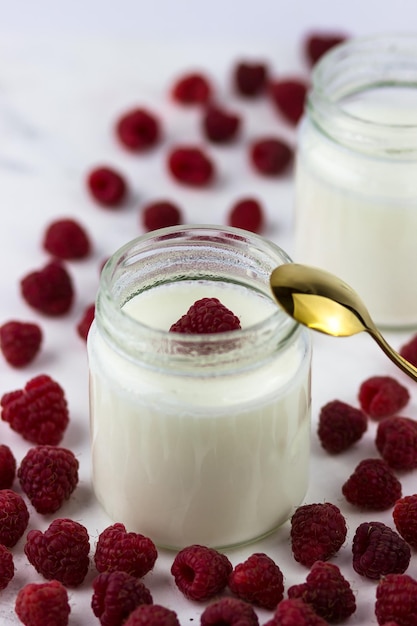 Seitenansicht des apetite gesunden Joghurts Hausgemachter Joghurt mit Himbeeren