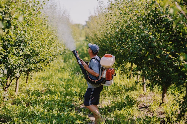 Seitenansicht des kaukasischen reifen Bauern in der Arbeitskleidung, im Hut und mit der modernen Pestizidsprühmaschine auf den Rücken, die Käfer im Obstgarten sprühen.